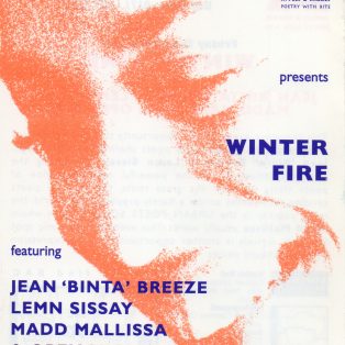 Winter Fire
