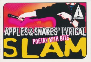 Apples & Snakes' Lyrical Slam